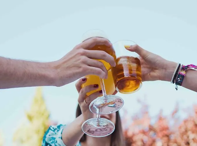 Dona Carmen Hotel 3*